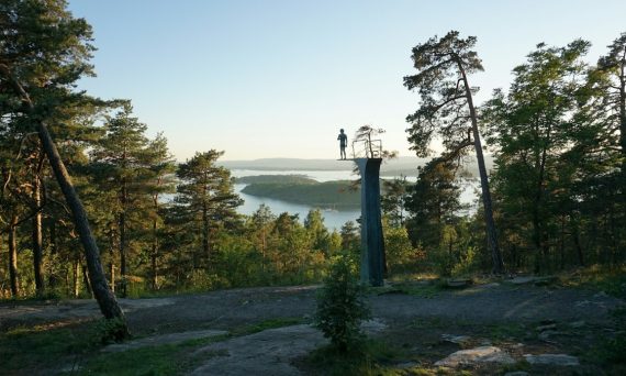 a man standing on top of a tree covered hill